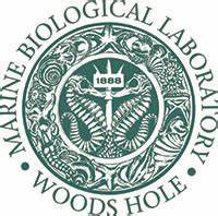 MBL Logo for website